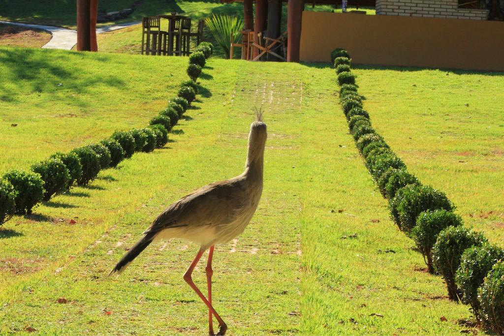 Pousada Boyrá Bonito  Esterno foto